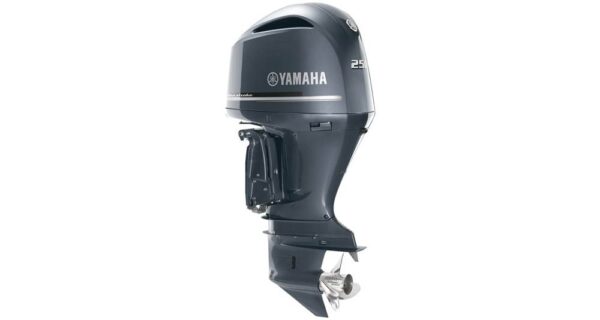 Yamaha F250 V6 – 25″ Shaft, 2019 Model