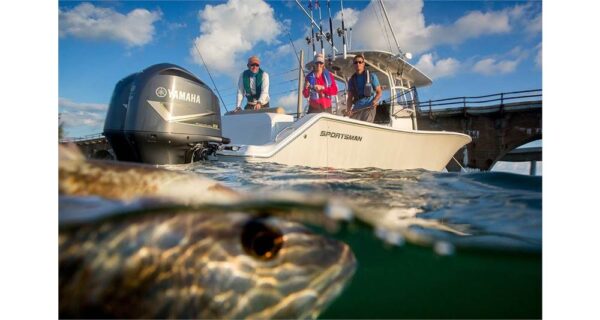 Yamaha F350C V8 – 25″ Shaft, 2019 Model - Image 4