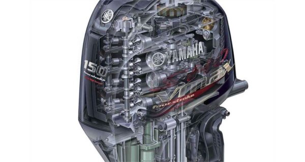 2022 Yamaha F150 – 25″ Shaft - Image 3