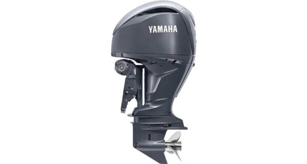 2022 Yamaha F250B – 30″ Shaft